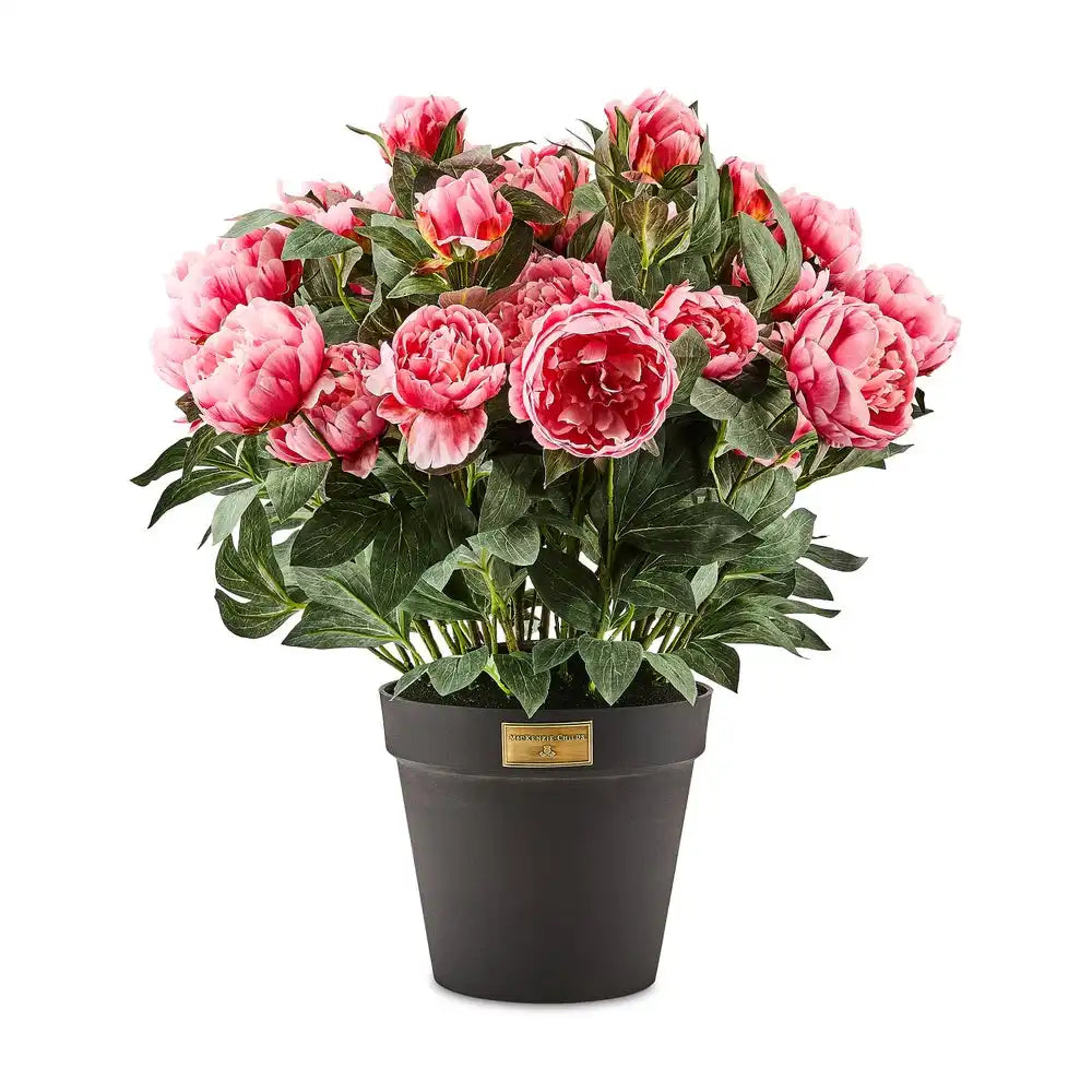 Pink Peony Urn Filler